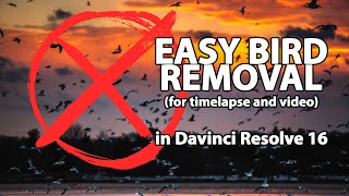 Bird Removal from Timelapse and Video Footage in Davinci Resolve 16 screenshot 4
