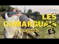 Vlogdecopines  je me fais secouer le prunier 