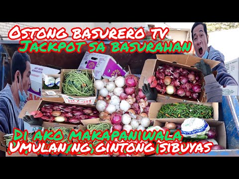 DUMPSTER DIVING SA CANADA/JACKPOT SI OSTONG BASURERO TV SA BASURAHAN NAPAKARAMING GINTO SNG HALAGA