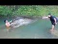 Skills Hand fishing catch catfish - Primitive Life - Living off grid - Primitive cooking