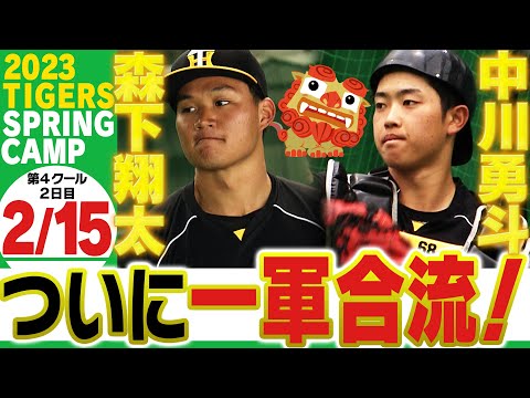 【2月15日沖縄キャンプ】キタ━(゚∀゚)━!!ドラ1森下翔太が一軍合流!!2年目中川は岩崎大先輩のボールを自慢のフレーミングでアピール!応援番組「虎バン」ABCテレビ公式チャンネル