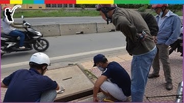 Câu Cá Trê Trong Cống Thoát Nước Cực Kỳ Thú Vị