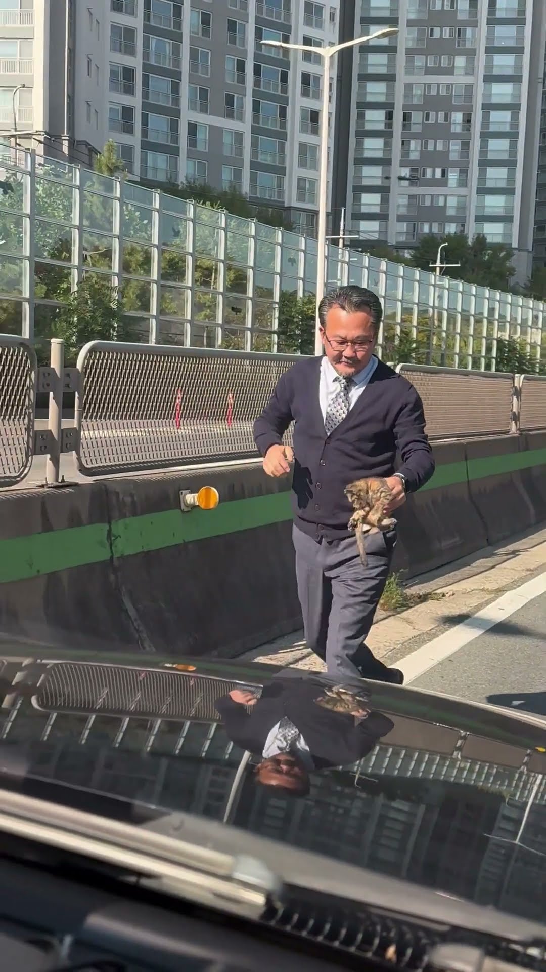 Man Stops in Busy Highway to Rescue a Stranded Kitten