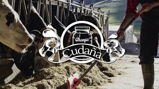 GANADERÍA CUDAÑA. VACAS FRISONAS. LA LECHE DE CANTABRIA. 