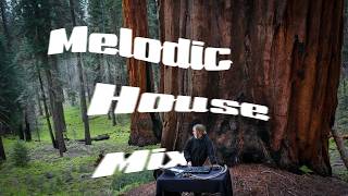 I DJ'd with the Biggest Trees On Earth | Melodic House Mix | Sequoia