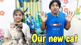 Our new cat at home ? | comedy video | funny video | Prabhu Sarala lifestyle