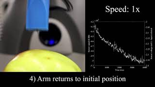 Fruit quality control by surface analysis using a bio-inspired soft tactile sensor screenshot 2