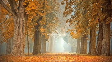 Kayou. - it was only an autumn tale
