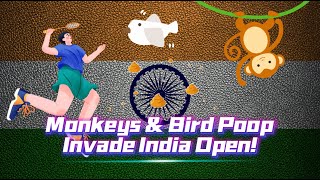 Download Lagu India Open Badminton Chaos: Monkeys Invade Court, Bird Poop Falls, Delhi Smog Hell! MP3