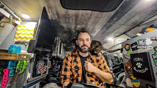 VANLIFE - Man Lives in Cargo Van with 2 Cats | Simple Vlog