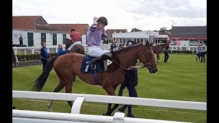 Racehorse - Salamanca City - Great Yarmouth Racecourse