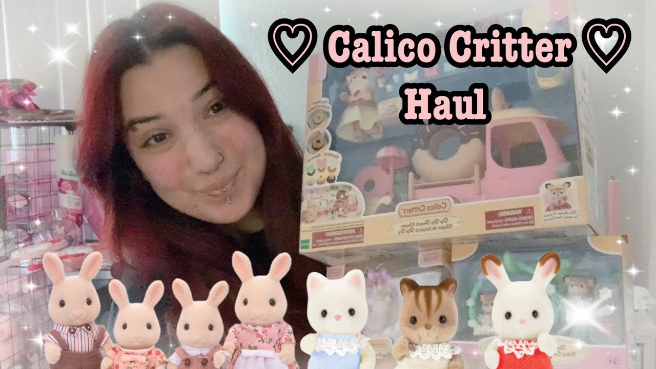 Calico Critter Haul ♡ | Donut Cart & Village Cake Shop finds ♡ | Sylvanian Families