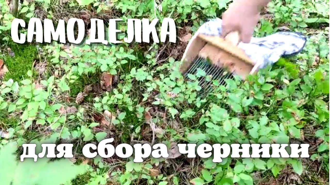 Самоделка для сбора черники Комбайн для черники своими руками - YouTube