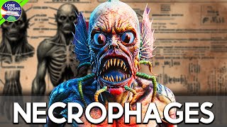 Necrophages Explained - The Witchers Foul Corpse Eaters