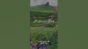 { تلك الدار الاخرة نجعلها للذين لا يريدون علوا فى الارض ولا فسادا } القارئ محمود الحصري