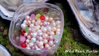 Pick up huge mussels in the lake, open the pearl oysters and collect beautiful pearls