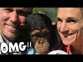 OMG!! WE GOT A CHIMPANZEE!!! | BRIAN BARCZYK