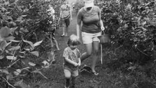 Pickin' at Neal Family Farm