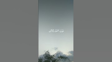 سورة الذاريات | إسلام صبحي #اكسبلور #لايك #راحة_نفسية #قرآن #اسلام_صبحي