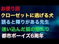 【お便り回】『クローゼットに逃げる犬』『語りと障りがある先生』『迷い込んだ狐の嫁入り』『都市ボーイズ6周年』