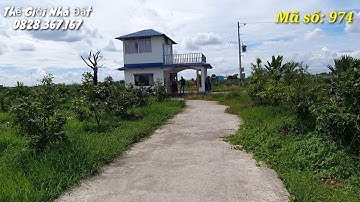 Nhà vườn Long An | Nhà vườn cây ăn trái giá rẻ