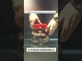 මුහුදු පතුලේ සැඟවුණු අසාමාන්‍ය බුද්ධිමතා🧠 #short#fyp#octopus #knowledge
