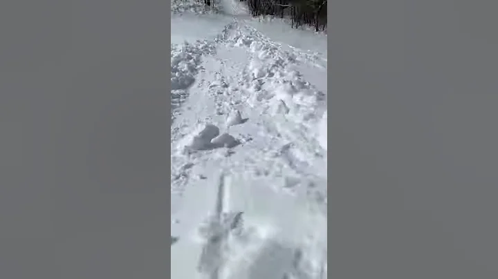 Sledding in