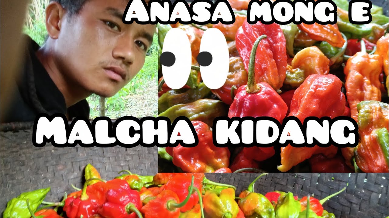 Malcha kalo masat na pen...ep lou emanle malcha nat pha ham???