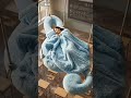 The 12 Zodiac Signs Exclusive Beds Trapped in the Music Classroom (Part 1#twelve astrologi