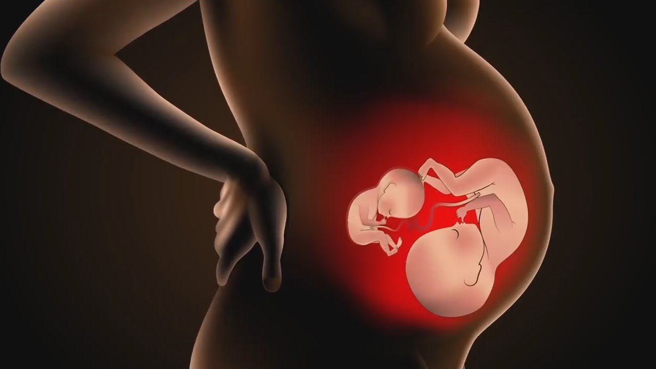живот беременной. малыш в животике. в утробе беременной женщины. в утробе беременной женщины. 6 месяц беременности.