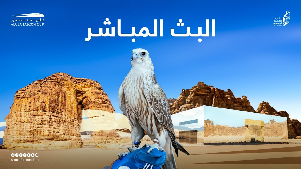 بث مباشر | منافسات اليوم الثالث لـ #كأس_العلا_للصقور #نادي_الصقور_السعودي