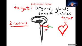 01 Human Physiology Lecture (and Lab intro) - 23 March 2020