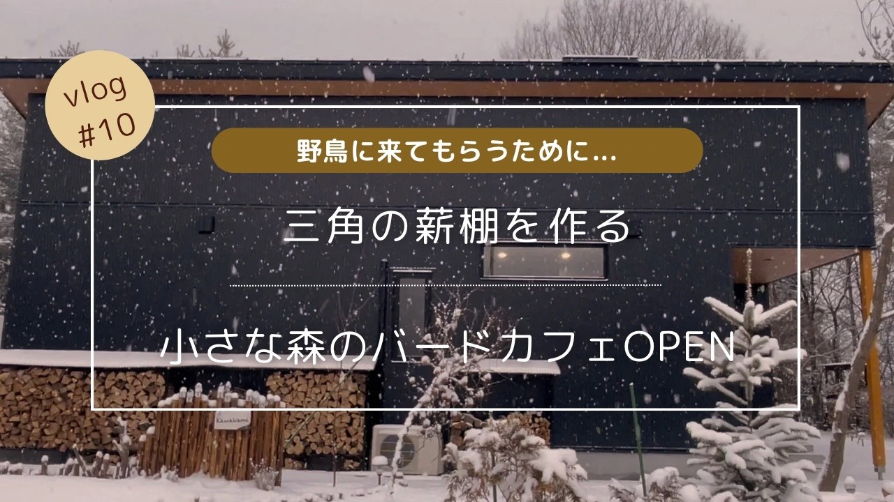#10 《野鳥に来てもらう》三角の薪棚を作る・小さな森のバードカフェOPEN