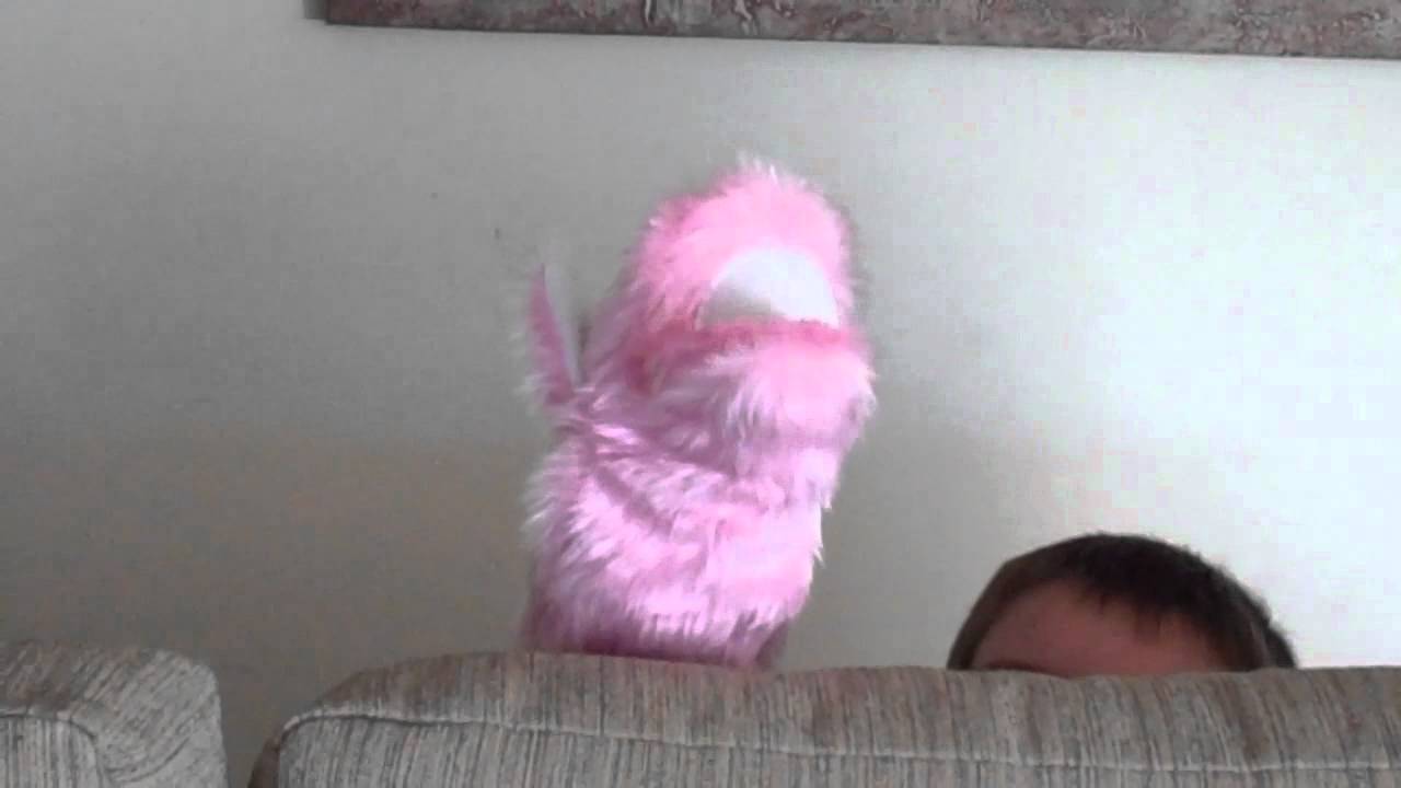 Pink puppet sings Adele YouTube