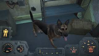 how to get the cryolator with dogmeat tutorial!in fallout 4 not fake with no mods trust me