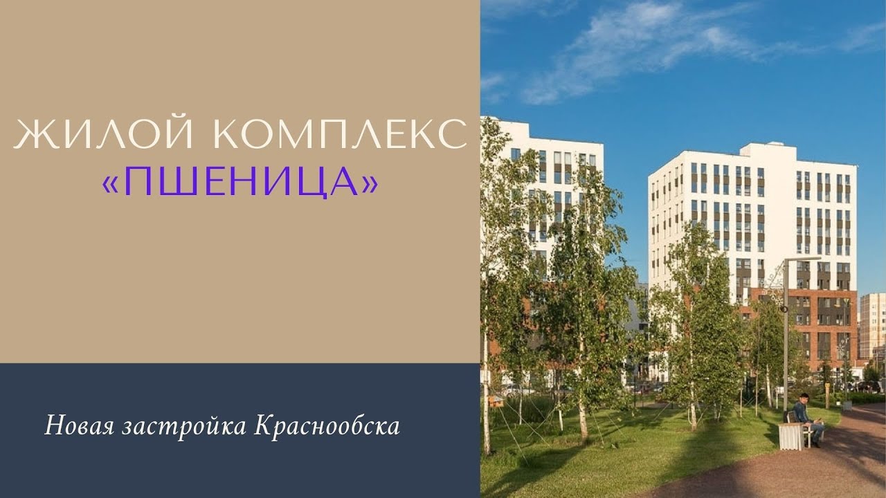 ЖК Пшеница Новосибирск Сибакадемстрой цены на квартиры, старт продаж ...