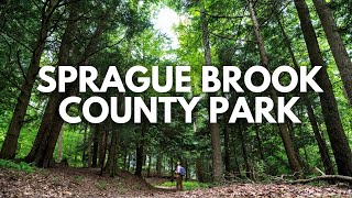 SPRAGUE BROOK COUNTY PARK: Beautiful Trails You Need to Explore (Erie County, New York) Net Worth