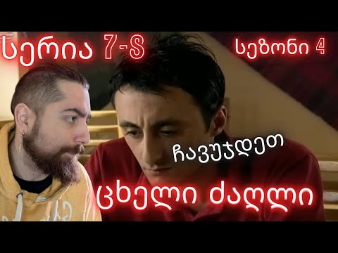 ჩავუჯდეთ | ცხელი ძაღლი | სერია 7-8 სეზონი 4