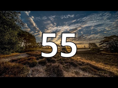 55 Second Countdown Timer With Alarm Sound At the End (Simple Beep)