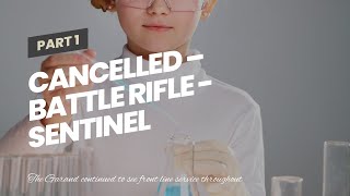 CANCELLED – Battle Rifle - Sentinel Concepts for Beginners