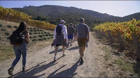 OptIn 2019: SparkPost