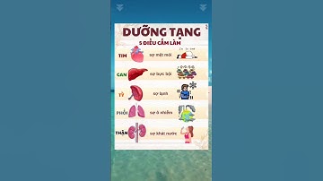5 Điều Cần Làm Để Dưỡng Tạng #dsdaiminh #dsngocminh #shorts #health
