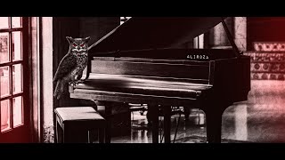 Alir3za - KHOOB MIDOONAM (PIANO VERISON) (OFFICIAL VISUALIZER)