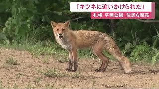 ワンワン吠えながら向かってくる」