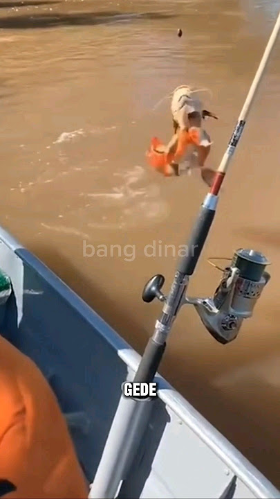 NGERI‼️ INILAH RESIKO MANCING DI AMAZON‼️ #shorts