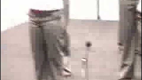 Lambda Rho Chapter Of Delta Sigma Theta Probate Part 3