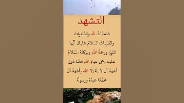 التشهد 