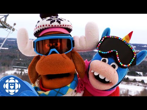 What in the Olympic Winter Games are Ski Poles? | CBC Kids