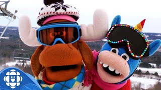 What in the Olympic Winter Games are Ski Poles? | CBC Kids