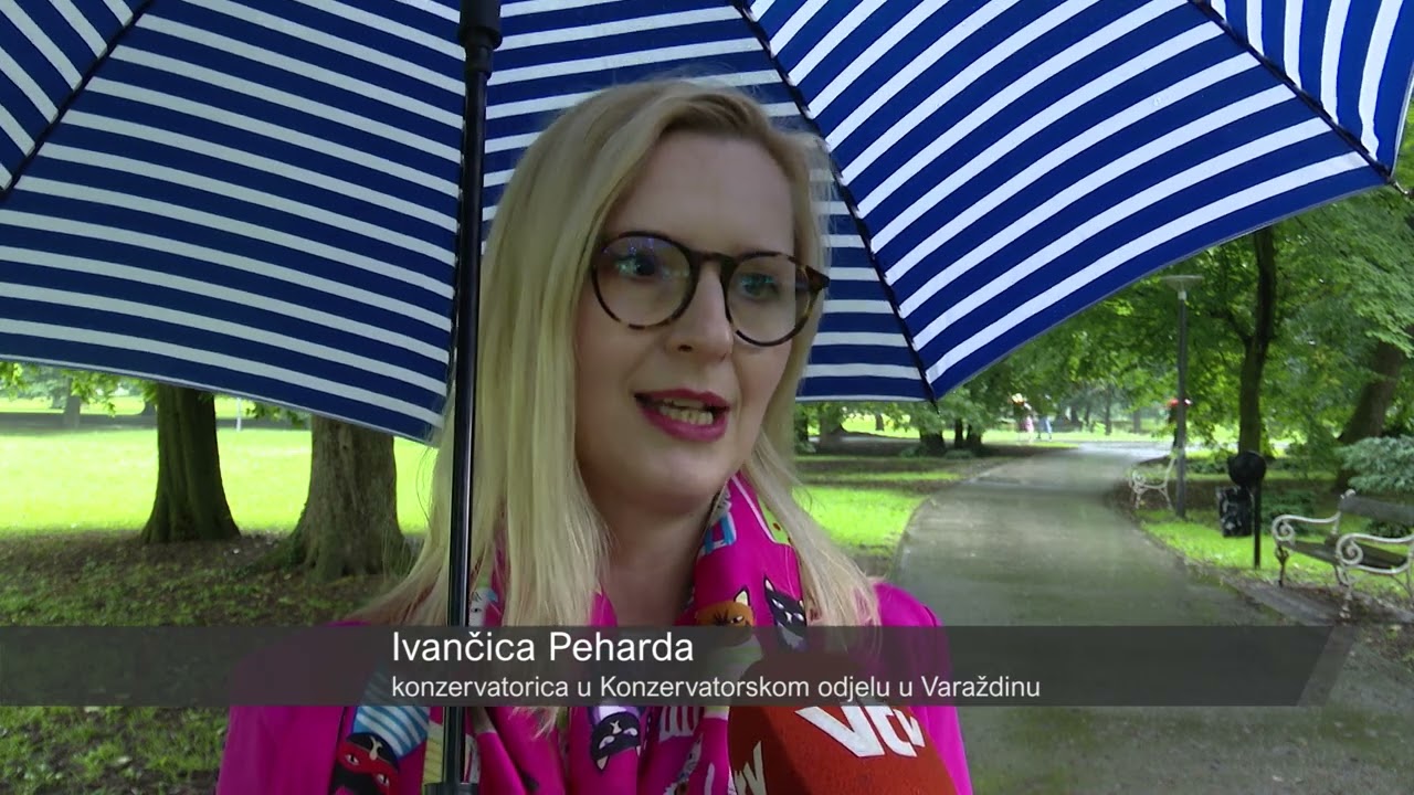VTV Dnevnik 31. svibnja 2024.